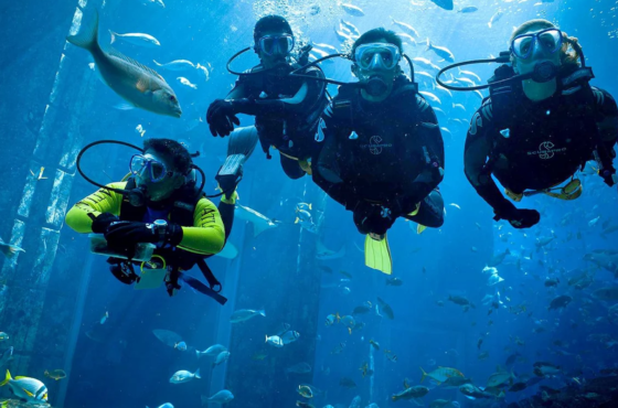 Experience the Waterworld through Scuba Diving in Dubai